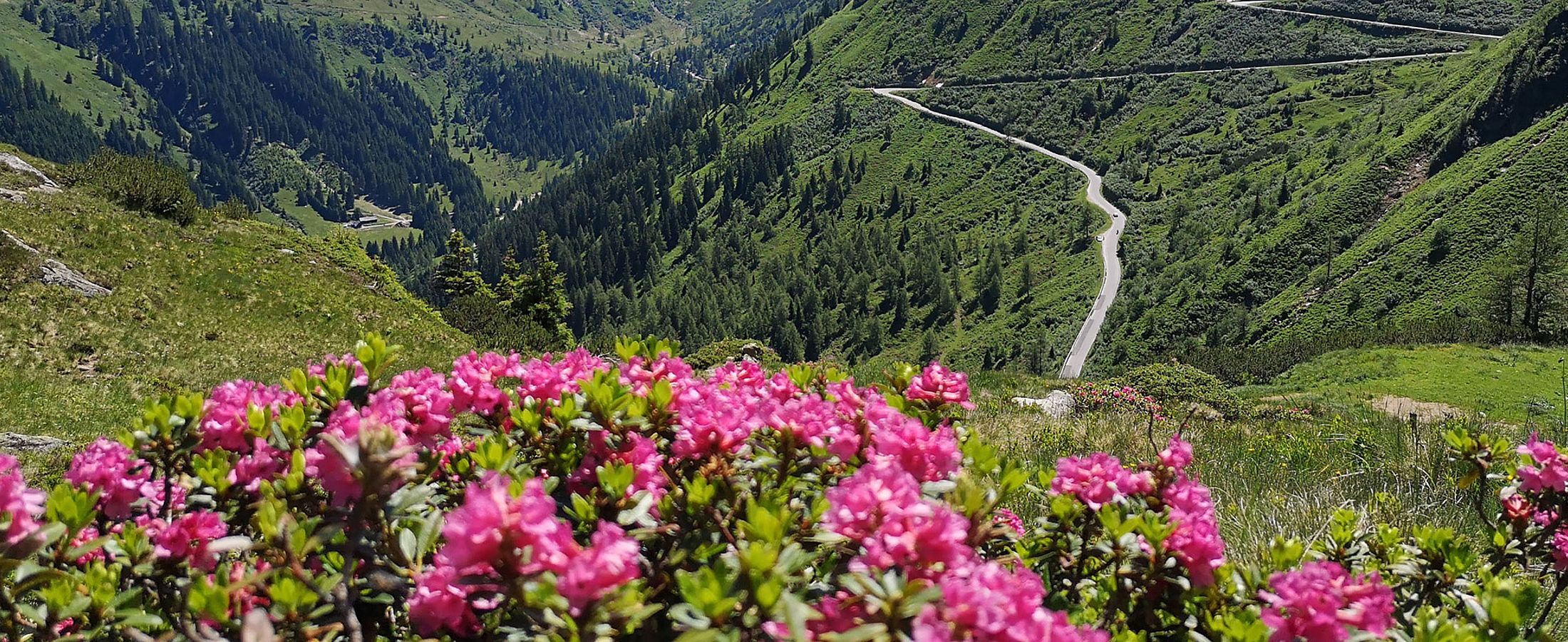 Landschaft in den Bergen in Schladming