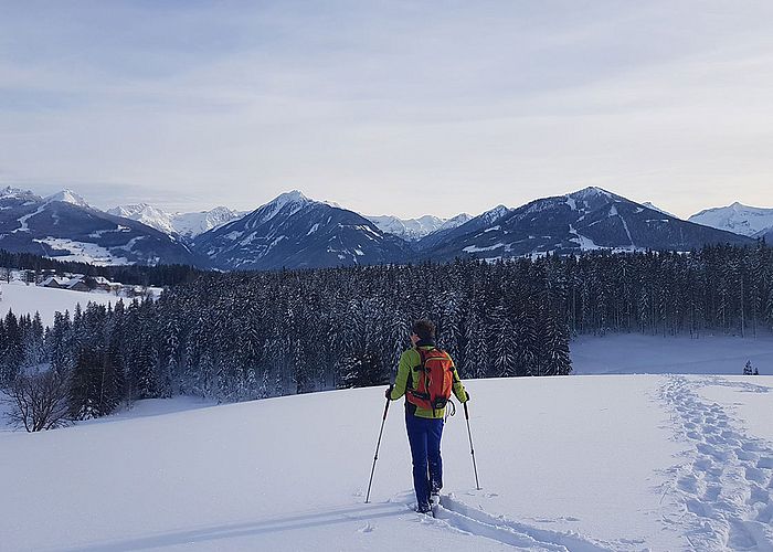 Schneeschuhwandern in den Bergen